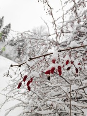 tiny things could be beatiful though