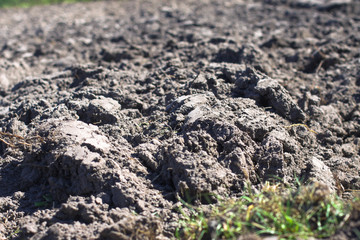 Landscape with agricultural land, in slope, recently plowed and prepared for the crop, with a plantation. summer field. Stock background, photo