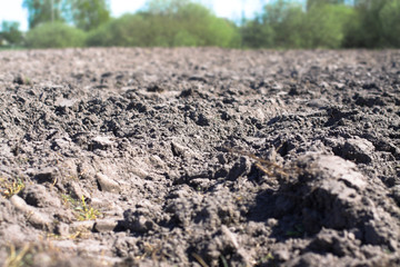 Landscape with agricultural land, in slope, recently plowed and prepared for the crop, with a plantation. summer field. Stock background, photo