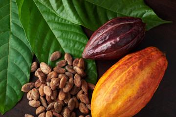 Raw sweet chocolate background 