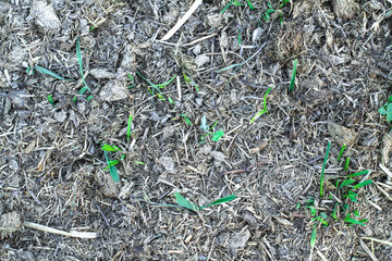 Interesting creative textures from a different plan of cobblestones or lines, cracks. Wallpaper for design