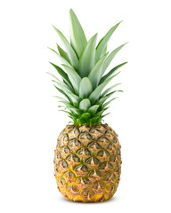 Fototapeta premium pineapple isolated on white background, clipping path, full depth of field