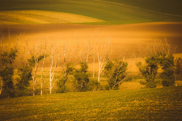 Wavy  autumn fields in Moravian Tuscany, Czech Republic