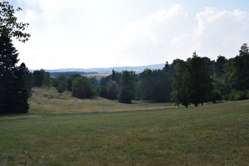 park, outdoor, water, grass, wild ducks, butterfly
