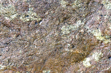 Sea stone texture. Panel texture. Spots gray red background. Background fill. Natural stone background.