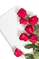 Red roses on March 8, bouquet as a gift for women's day