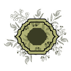 frame with plants and herbs isolated icon