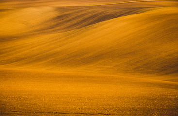 Wavy  autumn fields in Moravian Tuscany, Czech Republic