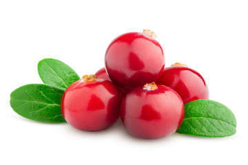 cranberry isolated on white background, clipping path, full depth of field