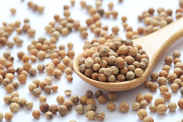 Coriander seed image Shot