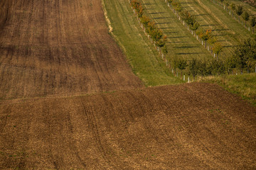 Wavy  autumn fields in Moravian Tuscany, Czech Republic