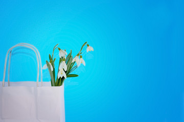 A bouquet of snowdrop flowers in a shopping bag.