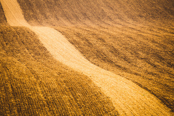 Wavy  autumn fields in Moravian Tuscany, Czech Republic