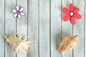 seashells and decorative flowers on a light background top view. with copyspace