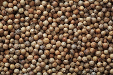 Coriander seed image Shot