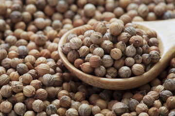 Coriander seed image Shot