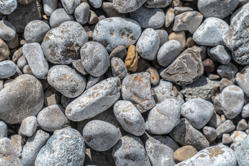 coastal stones lie on the beach lit by the sun near the sea.