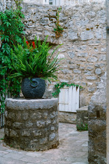 Fototapeta na wymiar Quiet cozy stone courtyard in the old European city with greenery and a vase.