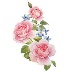 Watercolor rose vector omposition - obrazy, fototapety, plakaty
