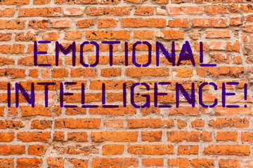 Conceptual hand writing showing Emotional Intelligence. Business photo showcasing Capacity to control and be aware of demonstratingal emotions Brick Wall art like Graffiti motivational written on wall