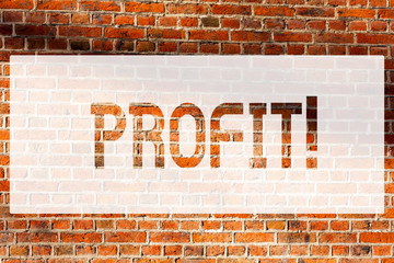 Text sign showing Profit. Conceptual photo Earned Money Payment Salary Business Revenue Brick Wall art like Graffiti motivational call written on the wall