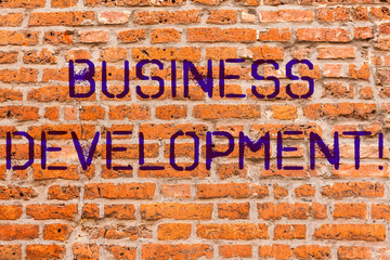 Conceptual hand writing showing Business Development. Business photo showcasing Develop and Implement Organization Growth Opportunities Brick Wall art like Graffiti motivational written on wall