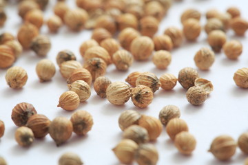 Coriander seed image Shot