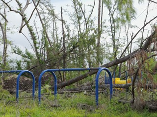 A children’s park by the beachside ruined and devastated after typhoon  soudelor hit Saipan, Northern Mariana Islands with the trees stripped and uprooted