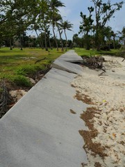 Typhoon Soudelor which hit Saipan in 2015 uprooted hundreds of trees and caused damage including this walkway at Micro Beach