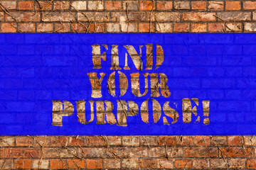 Writing note showing Find Your Purpose. Business photo showcasing life goals Career Searching educate knowing possibilities Brick Wall art like Graffiti motivational call written on the wall