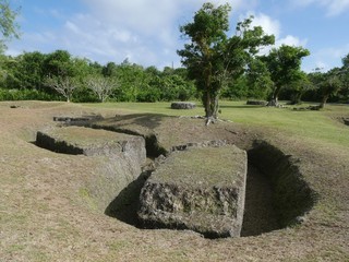 Wide shot of the latte stones at the As Nieves Quarry on Rota, the largest megaliths in the Northern Mariana Islands. 