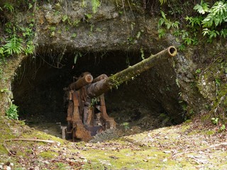 Wide shot of a cave with an old Japanese canon used during the world war 11 by the roadside on Rota, Northern Mariana Islands