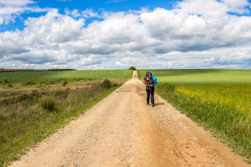 Rear view of a male pilgrim on an unpaved country road on the Way of St. James, Camino de Santiago between Ciruena and Santo Domingo de la Calzada in La Rioja, Spain under a beautiful May sky
