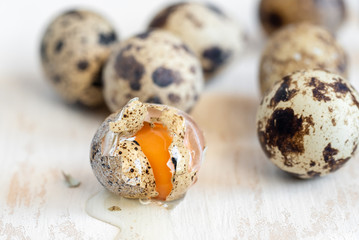Obraz premium Fresh organic quail eggs, a delicacy in many parts of the world.