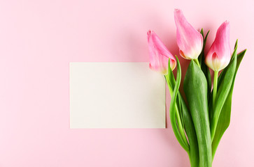 Fresh flower composition, bouquet of bi color tulips, pale pink and white gradient background. International Women's day, mother's day greeting concept. Copy space, close up, top view, flat lay.