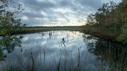Moorlandschaft
