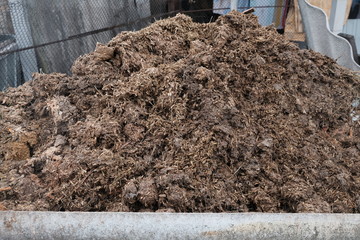 manure humus fertilizer droppings from pigs