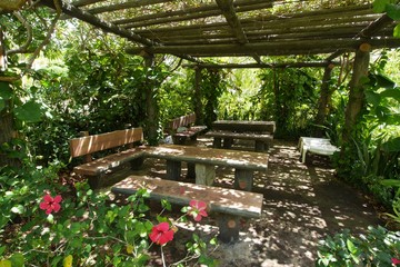 Outdoor garden with wooden benches and tables in a tropical island