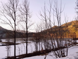 Tiglieto, Italy - 02/26/2019: Beautiful grey background of the first snow in the village in winter with some beautiful flowers and trees without leaves and small view to the mountains.