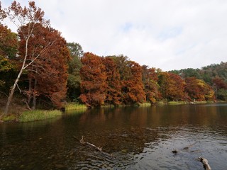 Mountain Fork at Beavers Bend State Park displaying full autumn colors, Oklahoma 