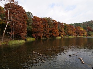 Wide shot of the Mountain Fork at Beavers Bend State Park displaying full autumn colors, Oklahoma