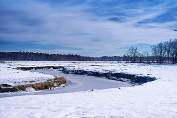 Rachel Carson National wildlife refuge winter landscape