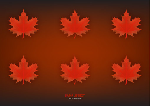 Set of isolated red maple leaves on a dark background. Vector illustration