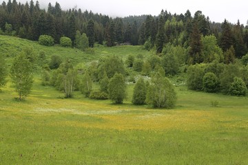 magnificent wallpaper and landscapes artvin savsat