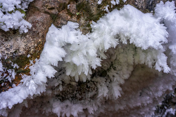 frost