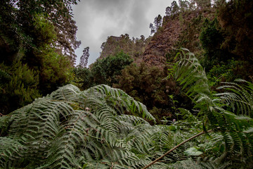 great view over a fern on rock formations