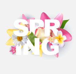 Hello Spring Banner Greetings Design  Background with Colorful Flower Elements. Vector illustration