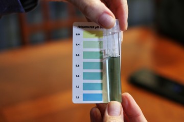 Person testing water pH balance for fish tank.