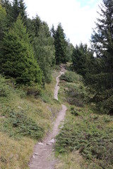 Fototapeta na wymiar Sentier de montagne