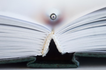 Open book. A pen lies between the pages in an open book.